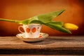 Still life of a closed yellow tulip placed on an orange and white ornate pottery cup on a barn wood table in front of a backdrop