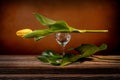 Still life of a closed yellow tulip placed on a wine goblet engraved on a barn wood table in front of an orange backdrop