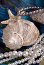 Still-life with cockleshells and pearls Royalty Free Stock Photo