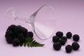 Still life of a cocktail glass and blackberries