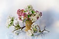 Burevestnik beautiful flowers in basket Royalty Free Stock Photo