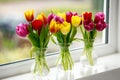 Still life with colorful tulip flowers bouquet in three glass vases on window sill Royalty Free Stock Photo