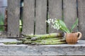 Still life composition with asparagus and ceramic pot with lily-of-the-valley flowers Royalty Free Stock Photo