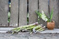 Still life composition with asparagus and ceramic pot with lily-of-the-valley flowers Royalty Free Stock Photo