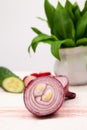 Still life composition with bear's garlic (Allium Ursinum), onion, cucumber and radishes Royalty Free Stock Photo