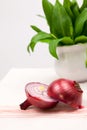 Still life composition with bear's garlic (Allium Ursinum) and onion Royalty Free Stock Photo