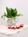 Still life composition with bear's garlic (Allium Ursinum) and radishes Royalty Free Stock Photo