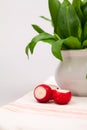 Still life composition with bear's garlic (Allium Ursinum) and radishes Royalty Free Stock Photo