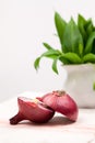 Still life composition with bear's garlic (Allium Ursinum) and sliced onion Royalty Free Stock Photo