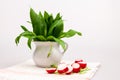 Still life composition with bear's garlic (Allium Ursinum) and sliced radishes Royalty Free Stock Photo