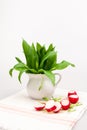 Still life composition with bear's garlic (Allium Ursinum) and sliced radishes Royalty Free Stock Photo