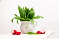 Still life composition with bear's garlic (Allium Ursinum) and sliced radishes Royalty Free Stock Photo