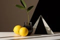 Still life composition with modern and trendy aesthetic. Contrasting geometric shapes in minimalistic setting. Two