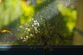 Still life composition of sun light ray touching an artificial glass flower bouquet Royalty Free Stock Photo