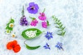 Concept of homeopathic pills with homeopathy granules and medicinal flowers and plantson a grey wooden background