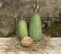 Still life countryside food Royalty Free Stock Photo