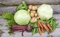 Still life of a crop of fresh vegetables and root vegetables Royalty Free Stock Photo