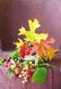 Still life in a Cup with branches of red, white and black currants, raspberry berries with them. Visible carved maple leaves. Royalty Free Stock Photo