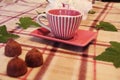 Still life: Cup, leaves, peony and candy