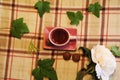 Still life: Cup, leaves, peony and candy