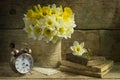 Still life with daffodils Royalty Free Stock Photo