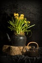 Still life with daffodils and teapot Royalty Free Stock Photo
