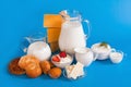 Still life with dairy products Royalty Free Stock Photo