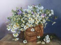 Still life with daisies on a multicolored background. Royalty Free Stock Photo