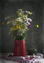 Still life with daisies