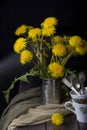 Still life with dandelions Royalty Free Stock Photo