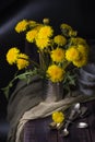 Still life with dandelions Royalty Free Stock Photo