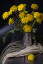 Still life with dandelions Royalty Free Stock Photo