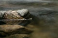 Still life dead leave floating in river water with rocks Royalty Free Stock Photo