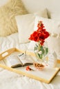 Still life details in home interior of living room. Open book and vase red tulips. Read and rest. Royalty Free Stock Photo