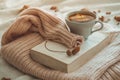 Still life in home interior of living room. Sweaters and cup of tea with a cone on the books. Read. Cozy autumn winter concept Royalty Free Stock Photo