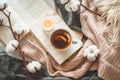 Still life in home interior of living room. Sweaters and cup of tea with a cone on the books. Read. Cozy autumn winter concept Royalty Free Stock Photo