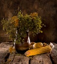 Still life with dried corn, blueberry and tansy branches Royalty Free Stock Photo