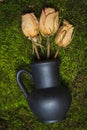 Still life- dry flowers in a black vase Royalty Free Stock Photo