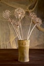 Still-life with dry flowers in vase Royalty Free Stock Photo