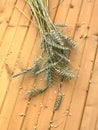 Still Life with ears of rye, lying on a wooden surface Royalty Free Stock Photo