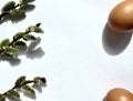 still life with Easter eggs and willow branches, consecrated by the sun Royalty Free Stock Photo