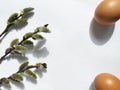 still life with Easter eggs and willow branches, consecrated by the sun Royalty Free Stock Photo