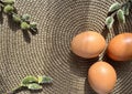 still life with Easter eggs and willow branches, consecrated by the sun Royalty Free Stock Photo
