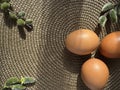 still life with Easter eggs and willow branches, consecrated by the sun Royalty Free Stock Photo