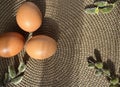 still life with Easter eggs and willow branches, consecrated by the sun Royalty Free Stock Photo