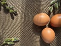 still life with Easter eggs and willow branches, consecrated by the sun Royalty Free Stock Photo