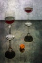 Still life `Easy intoxication` with glasses of wine and physalis