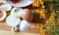 Still life. Egg. Royalty Free Stock Photo