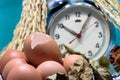 Still life with eggshells and eggs, old broken alarm clock, paddy rice seed, dead rose, colorful background. Royalty Free Stock Photo