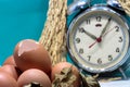 Still life with eggshells and eggs, old broken alarm clock, paddy rice seed, colorful background. Royalty Free Stock Photo